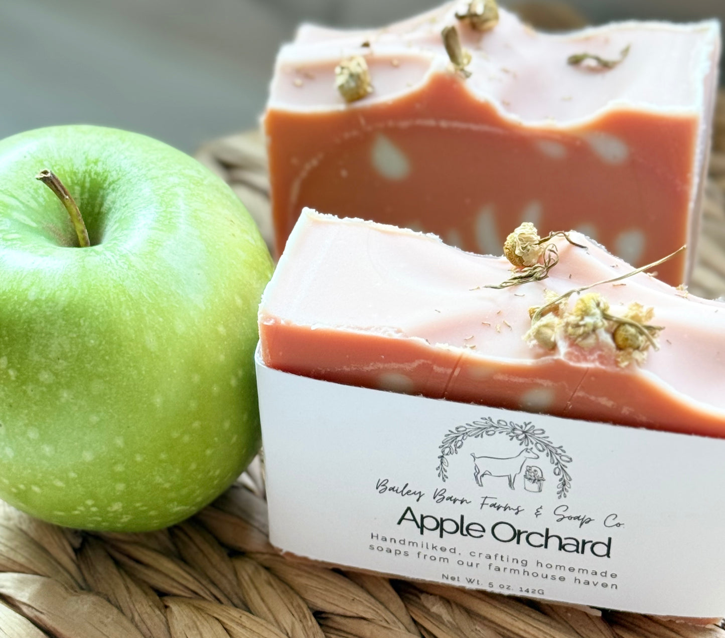 Apple Orchard